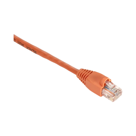 Black Box 6ft CAT5e 350MHz Ethernet Cable (Orange) — Being Shipped