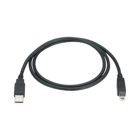 Black Box 6ft USB 2.0 Cable Type-A to Type-B (Black) — Being Shipped