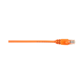 Black Box 20ft CAT5e 100MHz Snagless Ethernet Patch Cable (Orange) — Being Shipped