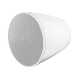 Bose Professional DesignMax DM10P-SUB Pendant Subwoofer — Being Shipped