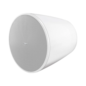 Bose Professional DesignMax DM10P-SUB Pendant Subwoofer — Being Shipped