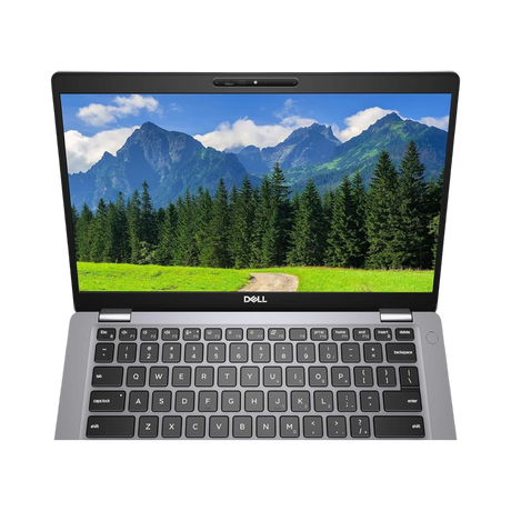 Dell 14" Latitude 5411 Laptop, Intel Core i5-10400H, 8GB RAM, 256GB SSD — Being Shipped