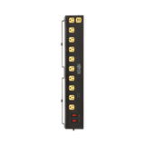 Tripp Lite 10ft Cord 10-Outlets Surge Protector with USB & Swivel Lights — Being Shipped