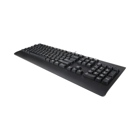 Lenovo Preferred Pro II USB AZERTY Keyboard (Black) — Being Shipped