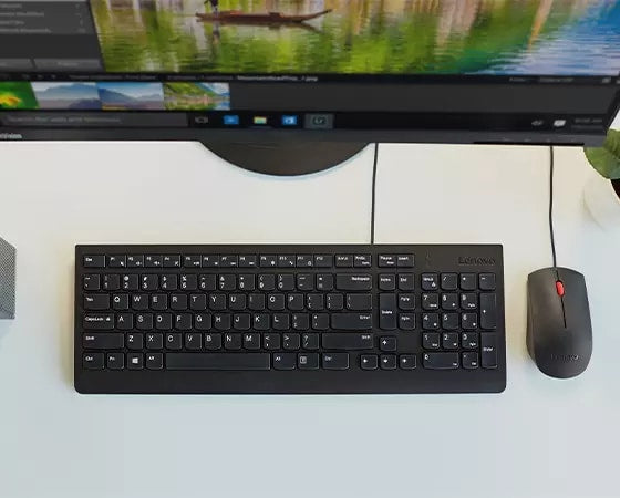 Lenovo Essential USB Wired Mouse (Black) — Being Shipped