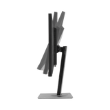 ASUS ProArt Display PA248QV 24.1" 16:10 Adaptive-Sync IPS Monitor — Being Shipped