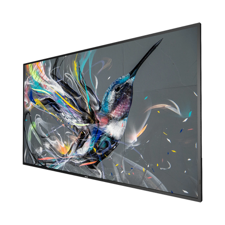 Philips Q-Line Android OS 65" 4K UHD LCD Display — Being Shipped