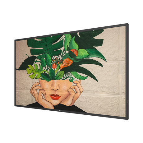 Philips D-Line TAA 50" 4K Ultra HD LED-LCD Display — Being Shipped