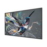 Philips Q-Line Professional Android 49.5" 4K Display — Being Shipped