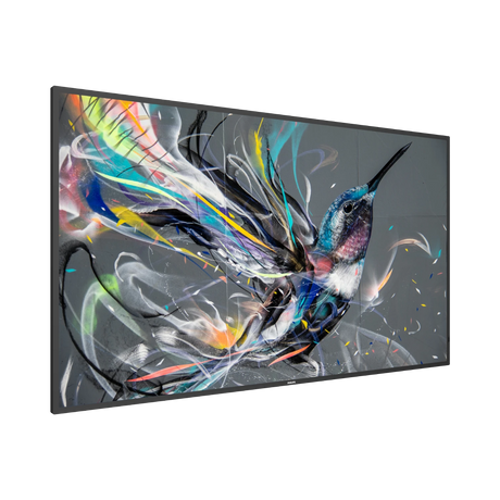 Philips Q-Line 55" 4K Ultra HD Professional Display — Being Shipped