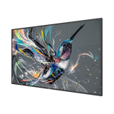 Philips Q-Line 55" 4K Ultra HD Professional Display — Being Shipped