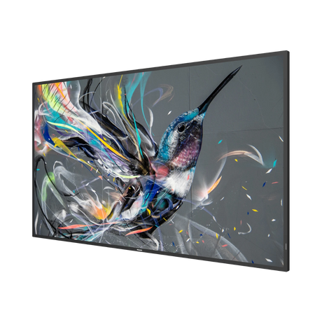 Philips Q-Line 55" 4K Ultra HD Professional Display — Being Shipped