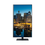 Samsung FT874 31.5" 16:9 4K UHD VA Monitor — Being Shipped