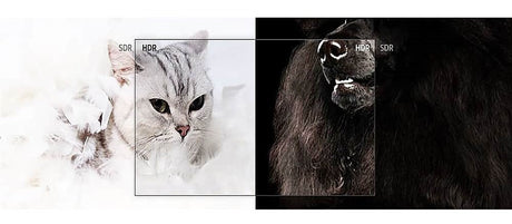 Samsung BET-H 75" HDR 4K UHD Commercial LED TV — Being Shipped