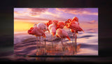 Samsung Q60B 55" Class HDR UHD 4K Smart QLED TV — Being Shipped