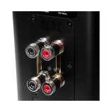 ELAC Carina BS243.4 2-Way Bookshelf Speakers (Satin Black, Pair) — Being Shipped