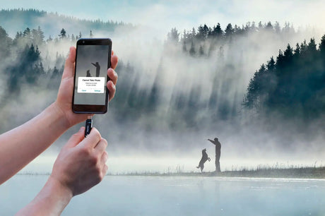 SanDisk Ultra Dual Drive Go 256GB USB-C & USB-A 2-in-1 Flash Drive (Black) — Being Shipped