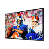 Samsung The Terrace 65" Class HDR 4K UHD Smart Full Sun Outdoor QLED TV — Being Shipped
