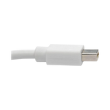 Tripp Lite Keyspan Mini DisplayPort to DisplayPort Adapter Cable (M/F), 4K 60 Hz, DP 1.2, HDCP 2.2, 3 ft. (0.9 m) — Being Shipped