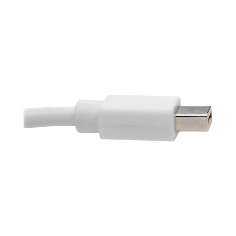 Tripp Lite Keyspan Mini DisplayPort to DisplayPort Adapter Cable (M/F), 4K 60 Hz, DP 1.2, HDCP 2.2, 3 ft. (0.9 m) — Being Shipped