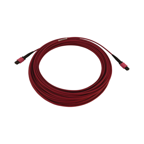 Tripp Lite 100G Multimode 50/125 OM4 Fiber Optic Cable (12F MTP/MPO-PC F/F), LSZH, Magenta, 25 m (82 ft.) — Being Shipped