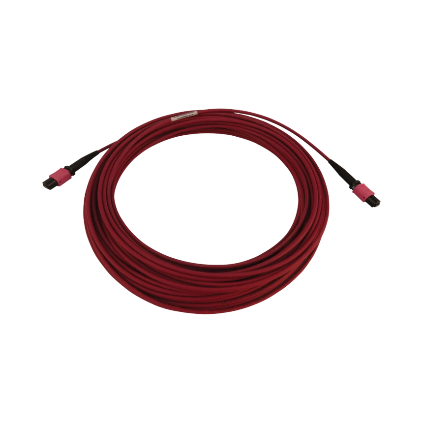 Tripp Lite 100G Multimode 50/125 OM4 Fiber Optic Cable (12F MTP/MPO-PC F/F), LSZH, Magenta, 25 m (82 ft.) — Being Shipped