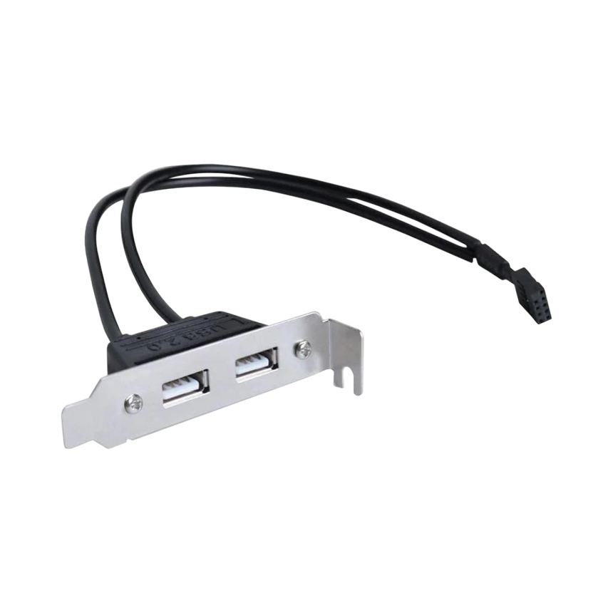 SIIG 2-Port USB 2.0 Low Profile Extension Bracket — Being Shipped