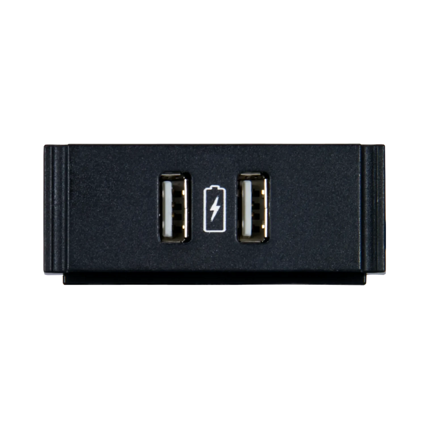 AMX Dual USB Power Module with Charging Indicator — Being Shipped
