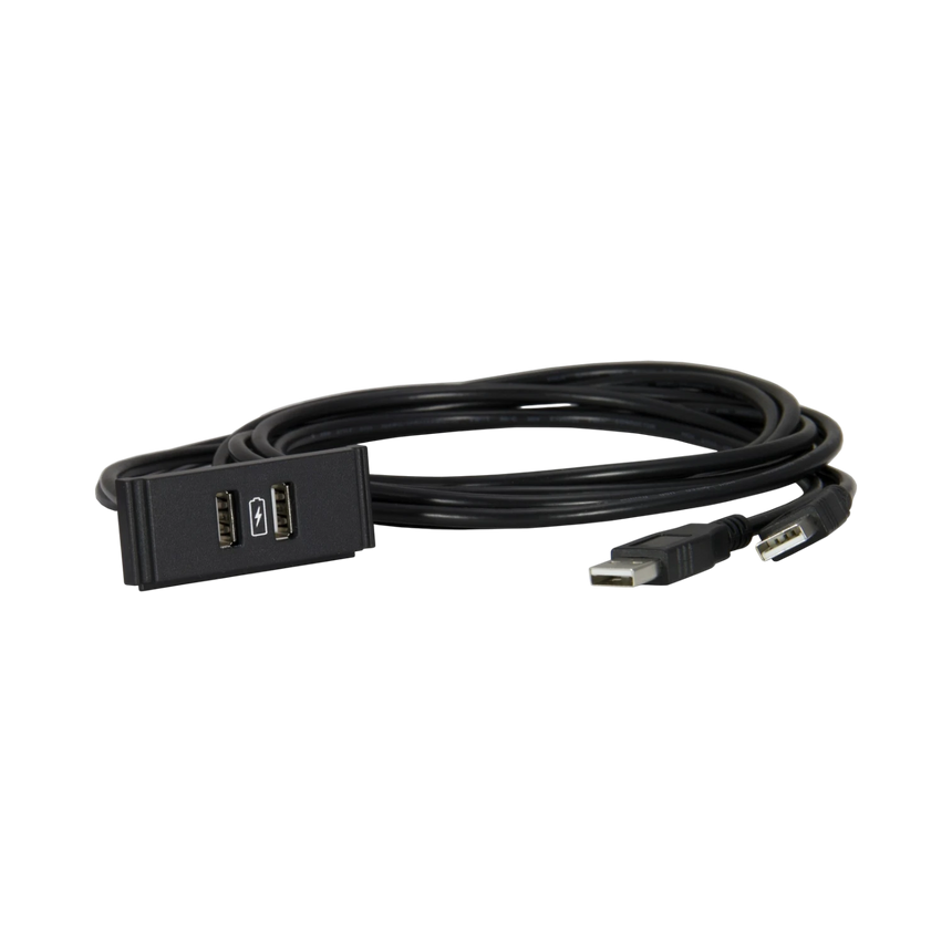 AMX Dual USB Power Module with Charging Indicator — Being Shipped