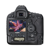Canon EOS-1D X Mark II DSLR Camera (Body Only) — Being Shipped