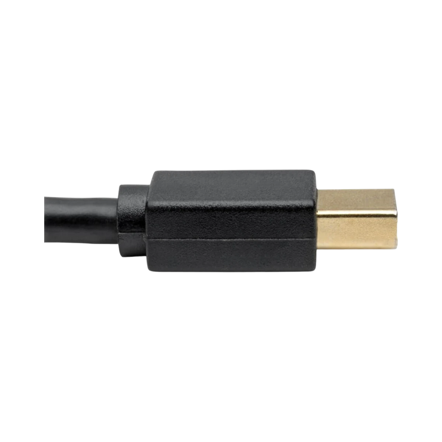 Tripp Lite USB-C to Mini DisplayPort Active Adapter Cable (M/M), 4K 60 Hz, Black, 6 ft. (1.8 m) — Being Shipped