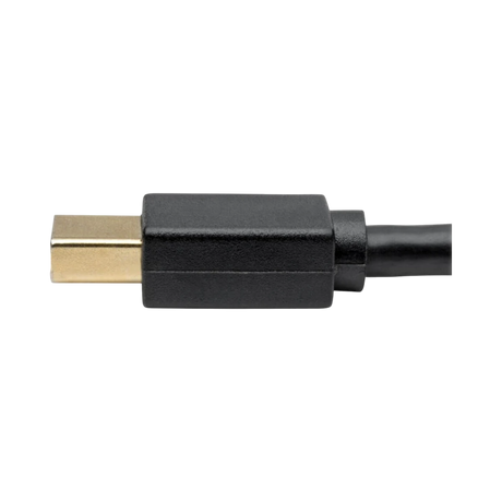 Tripp Lite USB-C to Mini DisplayPort Active Adapter Cable (M/M), 4K 60 Hz, Black, 6 ft. (1.8 m) — Being Shipped
