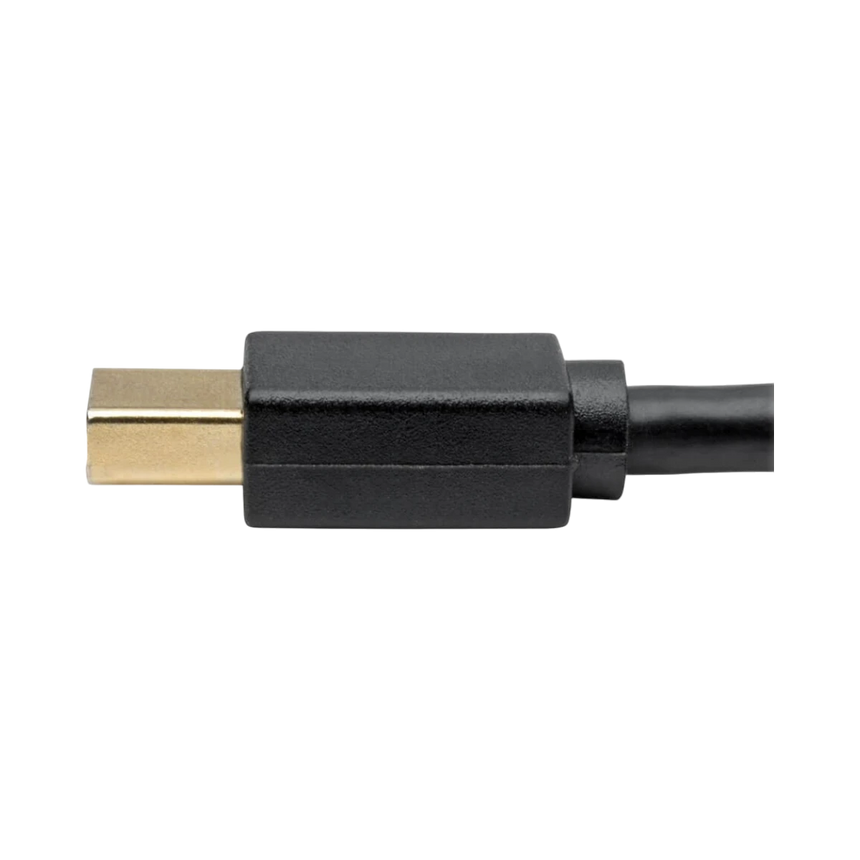 Tripp Lite USB-C to Mini DisplayPort Active Adapter Cable (M/M), 4K 60 Hz, Black, 6 ft. (1.8 m) — Being Shipped