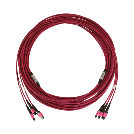 Tripp Lite 40/100/400G Multimode 50/125 OM4 Fiber Optic Cable (3x8F MTP/MPO-PC F/F), Magenta, 15m (49.2 ft.) — Being Shipped