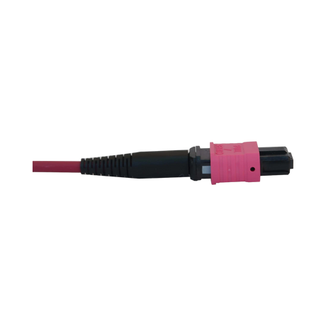 Tripp Lite 100G Multimode 50/125 OM4 Fiber Optic Cable (12F MTP/MPO-PC F/F), LSZH, Magenta, 20 m (65.6 ft.) — Being Shipped