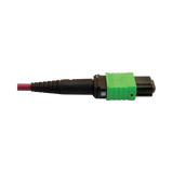 Tripp Lite 400G Multimode 50/125 OM4 Plenum Fiber Optic Cable, 16F MTP/MPO-APC to 24F MTP/MPO-UPC (F/F), Magenta, 5 m — Being Shipped