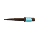 Tripp Lite 400G Multimode 50/125 OM4 Plenum Fiber Optic Cable, 16F MTP/MPO-APC to 24F MTP/MPO-UPC (F/F), Magenta, 5 m — Being Shipped