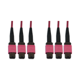 Tripp Lite 40/100/400G Multimode 50/125 OM4 Fiber Optic Cable (3x8F MTP/MPO-PC F/F), LSZH, Magenta, 23m (75.5 ft.) — Being Shipped