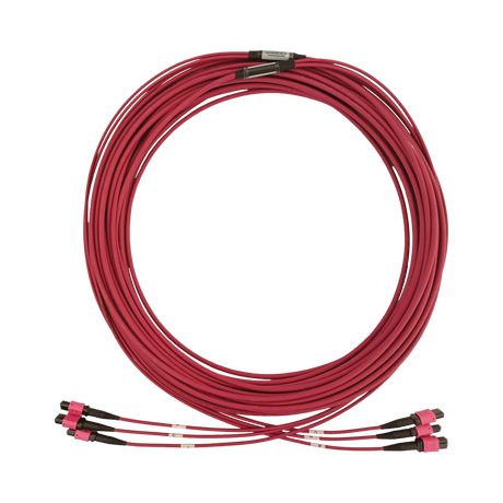Tripp Lite 40/100/400G Multimode 50/125 OM4 Fiber Optic Cable (3x8F MTP/MPO-PC F/F), LSZH, Magenta, 23m (75.5 ft.) — Being Shipped
