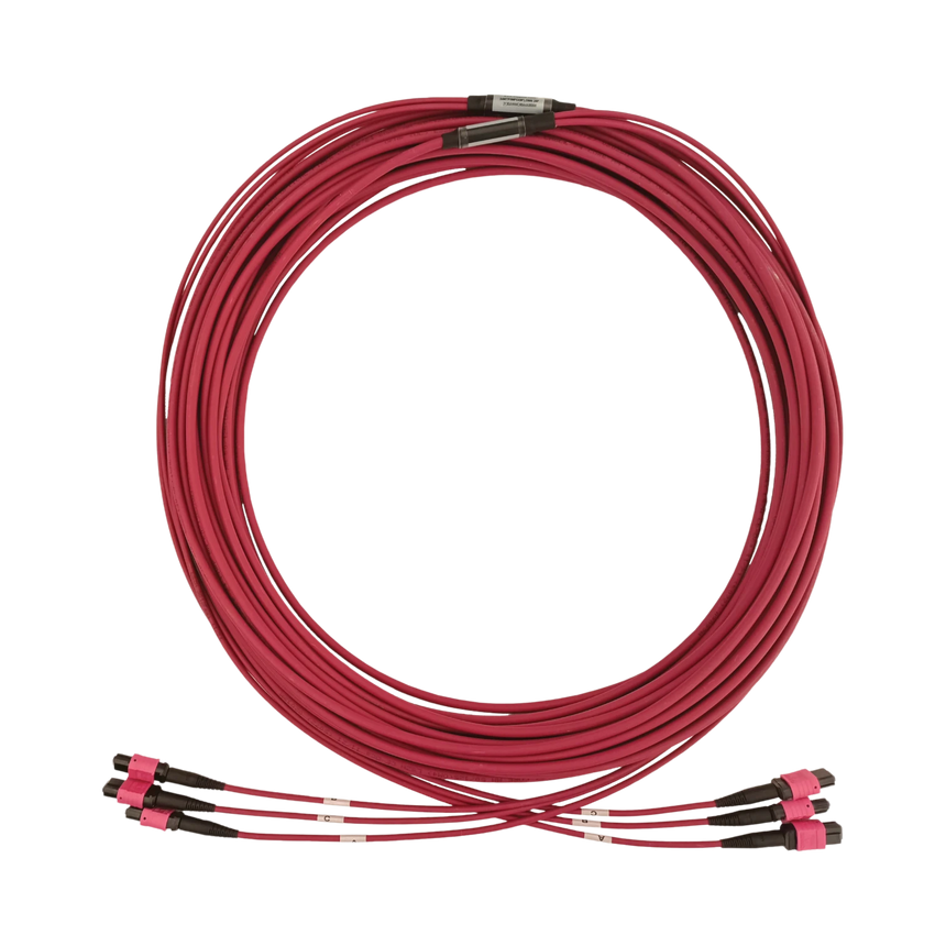 Tripp Lite 40/100/400G Multimode 50/125 OM4 Fiber Optic Cable (3x8F MTP/MPO-PC F/F), LSZH, Magenta, 23m (75.5 ft.) — Being Shipped