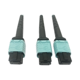 Tripp Lite 400G Multimode 50/125 OM4 Plenum Fiber Optic Cable, 24F MTP/MPO-PC to (x2) 12F MTP/MPO-PC (F/F), Aqua, 1 m — Being Shipped