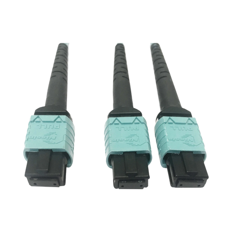 Tripp Lite 400G Multimode 50/125 OM4 Plenum Fiber Optic Cable, 24F MTP/MPO-PC to (x2) 12F MTP/MPO-PC (F/F), Aqua, 1 m — Being Shipped