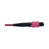 Tripp Lite 40/100/400G Multimode 50/125 OM4 Fiber Optic Cable (3x8F MTP/MPO-PC F/F), LSZH, Magenta, 30 m (98.4 ft.) — Being Shipped