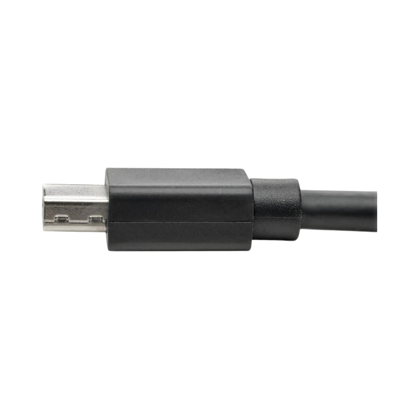Tripp Lite Mini DisplayPort Extension Cable, 4K @ 60 Hz, HDCP 2.2 (M/F), 3 ft. (0.91 m) — Being Shipped