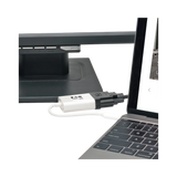 Tripp Lite USB-C to DVI Adapter with Alternate Mode, DP 1.2, White — Being Shipped
