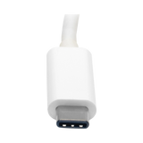 Tripp Lite USB-C to DVI Adapter with Alternate Mode, DP 1.2, White — Being Shipped