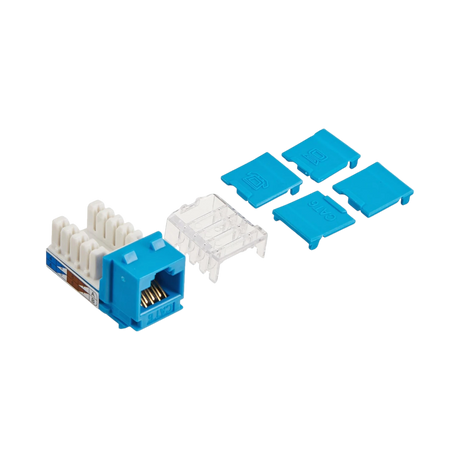 C2G Cat6 RJ45 UTP Keystone Jack, Blue — Being Shipped