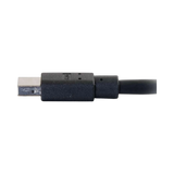 C2G 6ft (1.8m) Mini DisplayPort Cable 4K 30Hz, Black — Being Shipped