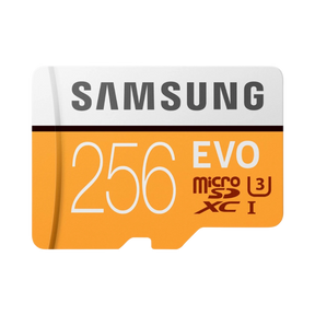 Samsung 256GB EVO UHS-I microSDXC Memory Card with SD Adapter — Being Shipped