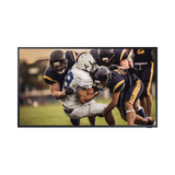 Samsung BHT Series Terrace Edition Class 75" HDR 4K UHD Outdoor Commercial QLED TV — Being Shipped